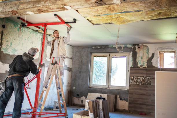 Best Residential Insulation Services  in Larimore, ND