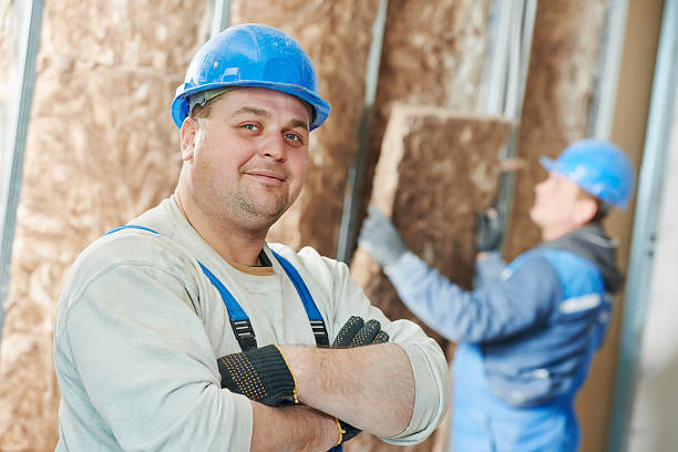 Best Attic Insulation Installation  in Larimore, ND